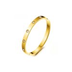 TIMEZ 18K Rosegold Titanium Steel Bangle with Cubic Zirconia Rosegold